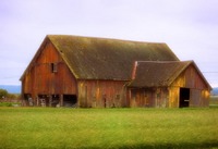 Barn