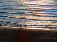 Walk on Beach